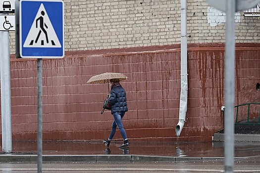 МЧС предупредило москвичей о сильном ветре и грозе с градом 23 апреля