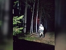 Нижегородец отправился на поиск в одиночку и нашел пропавшую женщину погибшей