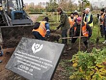 В Петербурге появилась Аллея памяти погибших в период пандемии петербургских медиков