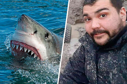 Останки пропавшего без вести байкера нашли внутри акулы