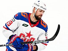 Никита Комаров завершил карьеру. Он может стать тренером в системе СКА («Чемпионат»)