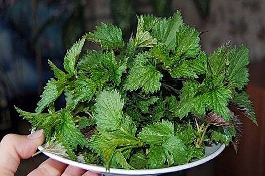 Подножный корм - В Марий Эл снизили прожиточный минимум