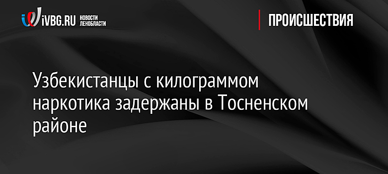 Узбекистанцы с килограммом наркотика задержаны в Тосненском районе