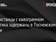 Узбекистанцы с килограммом наркотика задержаны в Тосненском районе