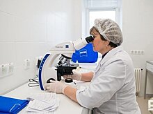 Эксперты назвали самые крупные и самые маленькие вирусы