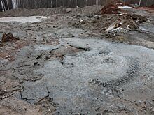 Активисты требуют наказать виновных в сливе бетонных отходов в ижевском лесу