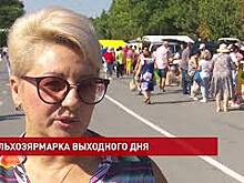 Эксперты считают, что в России необходимо поддерживать фермерскую торговлю офлайн и онлайн
