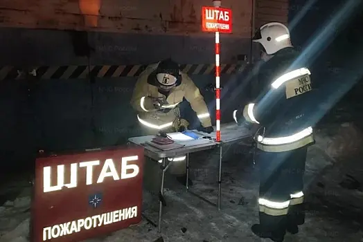 Ситуация на пожаре в Мичуринске Тамбовской области находится под контролем