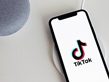 Сахалинский депутат лишился мандата после спетой в TikTok нецензурной песни