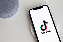 Сахалинский депутат лишился мандата после спетой в TikTok нецензурной песни