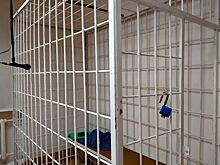 В Новосибирске прокомментировали задержание основателя секты «Ашрам Шамбалы»