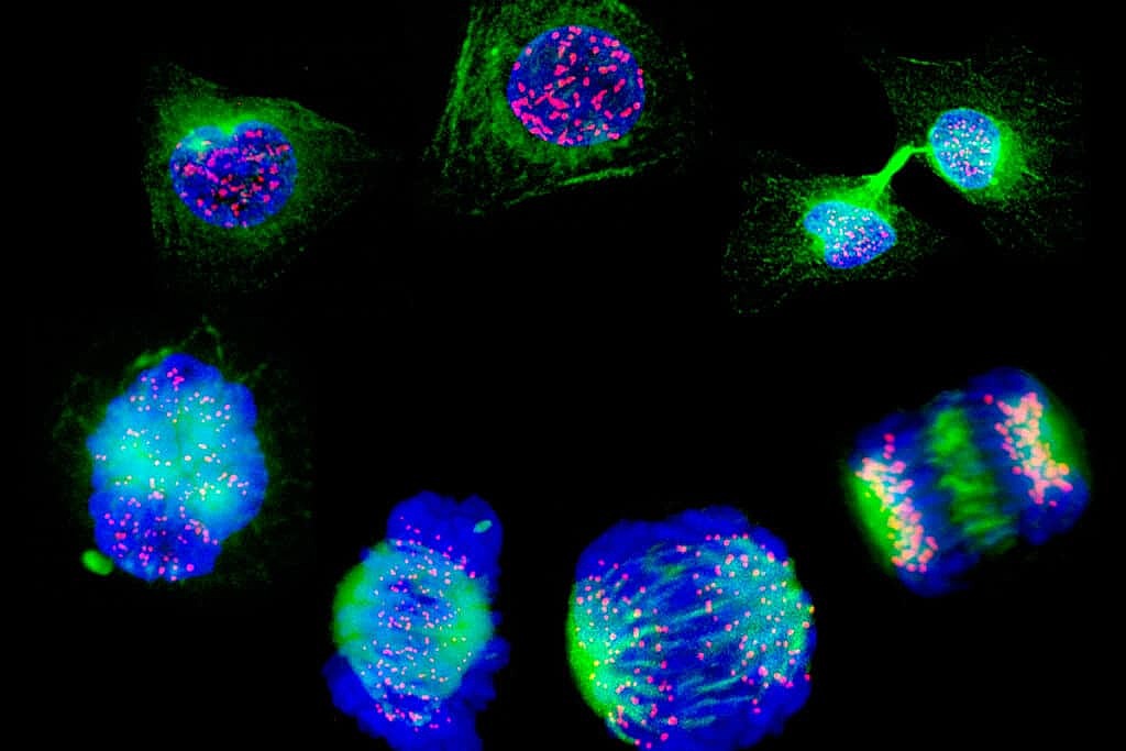 Синтезированы стабильные светящиеся нанометки, перспективные для диагностики рака