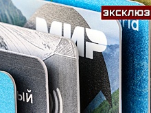 Эксперт объяснил слова Набиуллиной о «перегибе палки» при борьбе с мошенниками