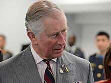 Школьник обескуражил Карла III честным мнением о нем