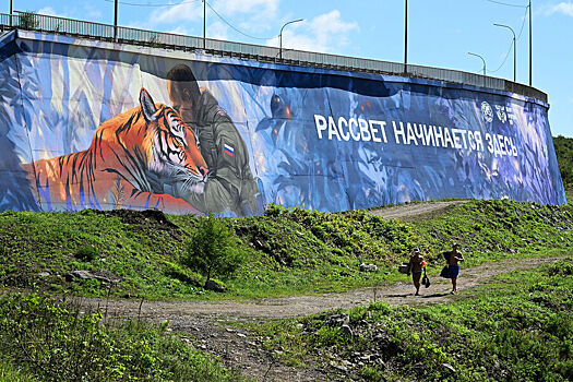 В российском городе появился мурал с Путиным и амурским тигром