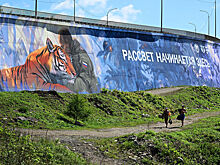 В российском городе появился мурал с Путиным и амурским тигром