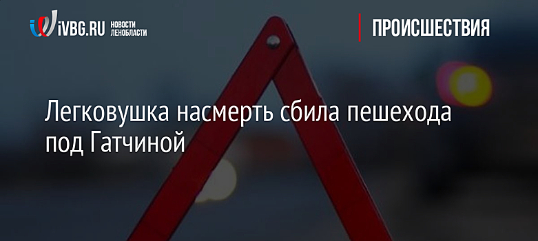 Легковушка насмерть сбила пешехода под Гатчиной