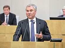 Володин инициировал опрос о запрете критикам России получать деньги из разных источников в стране