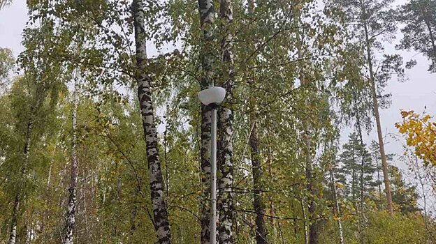 В Заречном светильники использовали в качестве мишени