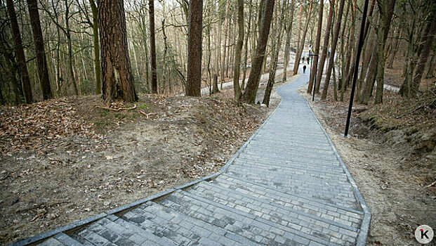 В Светлогорске появится новый спуск к озеру Тихому