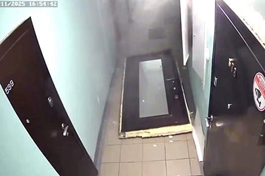 Собака устроила взрыв в квартире в Новосибирске