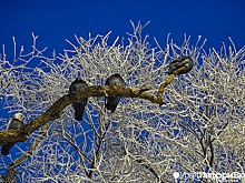 Свердловчан предупредили о похолодании до -30 градусов