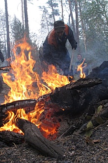 Опасная ситуация с лесными пожарами ожидается в 33 регионах