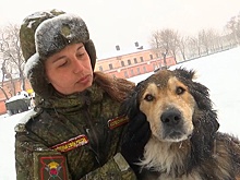Участники конкурса «Верный друг» преодолели полосу препятствий на соревнованиях в Уссурийске