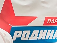 В «Родине» прокомментировали необходимость подачи жалобы в ЦИК
