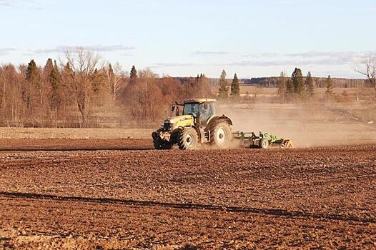 В Удмуртии сеют рапс и подкармливают озимые