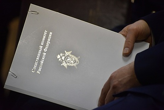 СК может подключиться к делу о травмировании ребенка после падения двери в Подмосковье