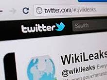 WikiLeaks рассказал про "Плачущего ангела" ЦРУ