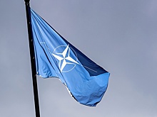 BZ: сомнения о роли США в НАТО могут привести к выходу Франции из блока