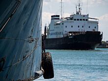 Путину предложили возобновить паромную переправу до Турции