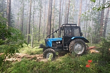 Красноярским лесным инспекторам купят технику на миллионы