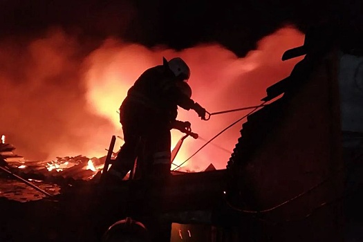 В ЛНР женщина и трое детей сгорели в частном доме