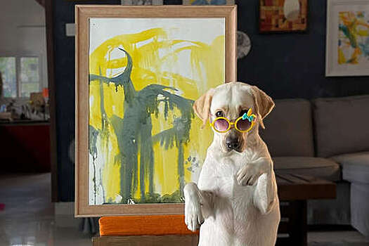 Лабрадор Дали из Индии стал популярным благодаря своему таланту художника