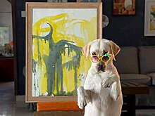 Лабрадор Дали из Индии стал популярным благодаря своему таланту художника