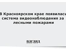 В Красноярском крае появилась система видеонаблюдения за лесными пожарами