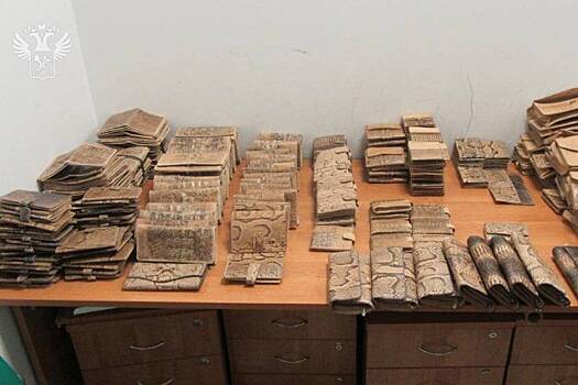 Пассажир привез из Стамбула изделия из питона и крокодила и попался таможенникам в Казани