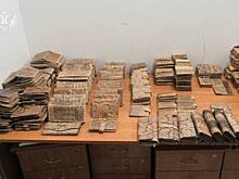 Пассажир привез из Стамбула изделия из питона и крокодила и попался таможенникам в Казани