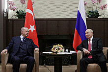 Путин и Эрдоган поспорили об уровне антител