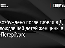 Дело возбуждено после гибели в ДТП сопровождавшей детей женщины в Санкт-Петербурге
