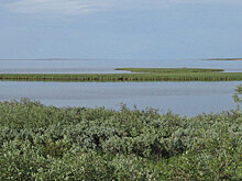 Заполярная рыбалка: белые ночи, тундра и хариус