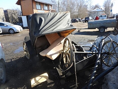 Тележку протаранил большой полицейский чин