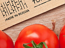 Свыше 60 экспортеров из России примут участие в китайской онлайн ярмарке