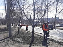 Газоны на Сормовском и Московском шоссе убирают в Московском районе