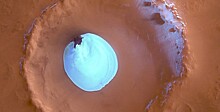 Идею Маска освоить Марс назвали «бредом»