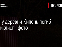 В ДТП у деревни Кипень погиб мотоциклист - фото