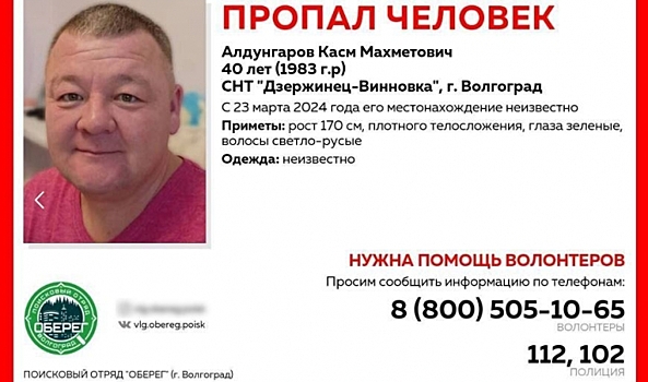 Под Волгоградом ищут пропавшего в СНТ 40-летнего мужчину с собакой